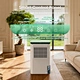 Dehumidifier